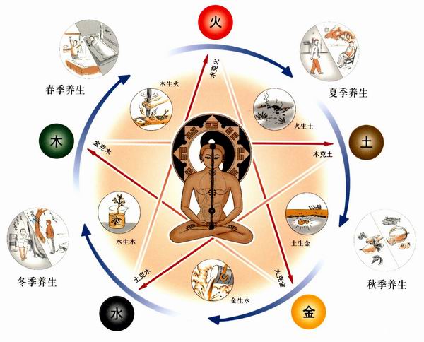 What is Acupuncture and Traditional Chinese Medicine?